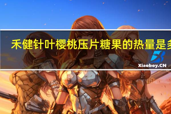 禾健 针叶樱桃压片糖果的热量是多少