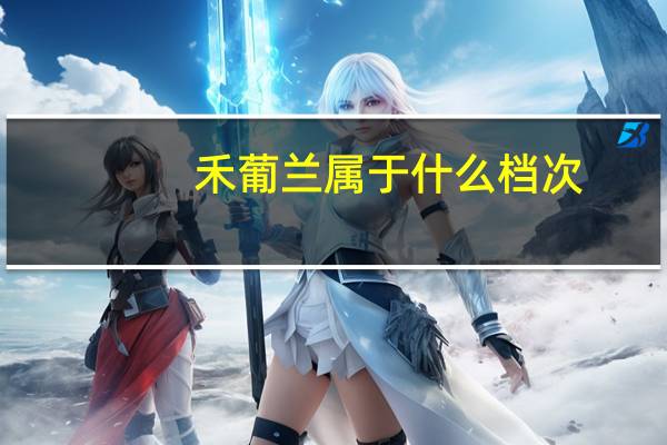 禾葡兰属于什么档次（禾葡兰官网旗舰店）