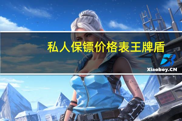私人保镖价格表王牌盾（私人保镖价格）