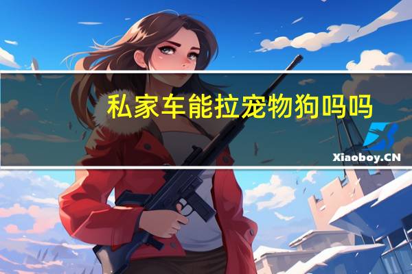 私家车能拉宠物狗吗吗