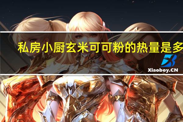 私房小厨 玄米可可粉的热量是多少