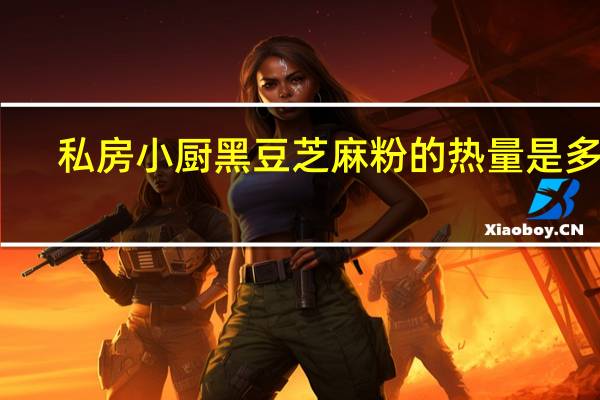 私房小厨黑豆芝麻粉的热量是多少
