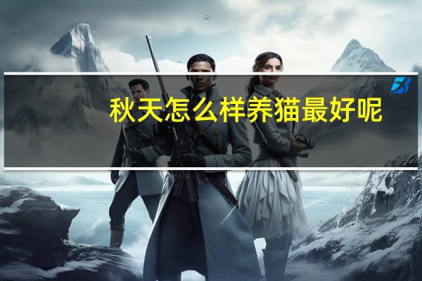 秋天怎么样养猫最好呢