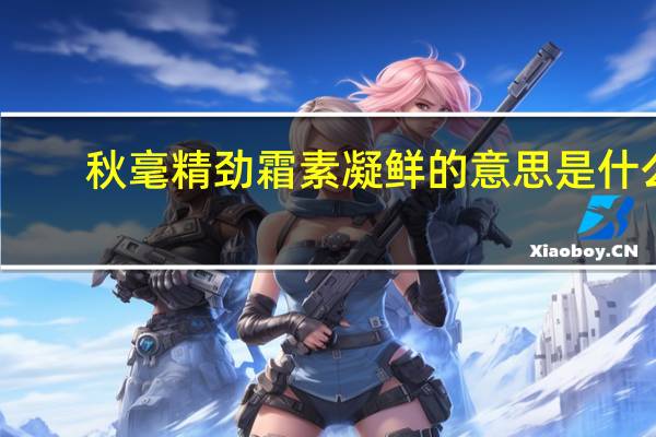 秋毫精劲霜素凝鲜的意思是什么
