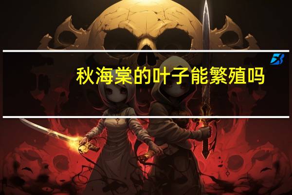 秋海棠的叶子能繁殖吗