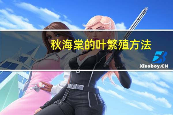 秋海棠的叶繁殖方法
