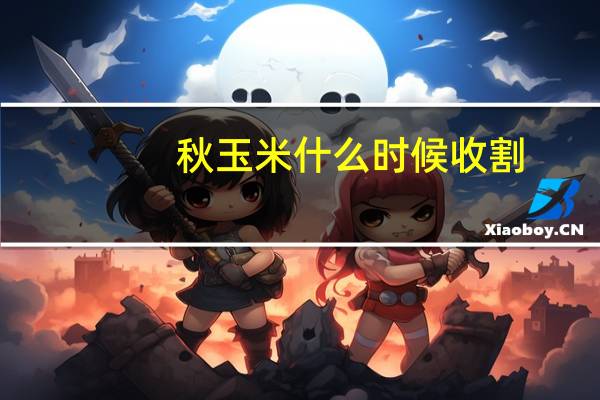 秋玉米什么时候收割