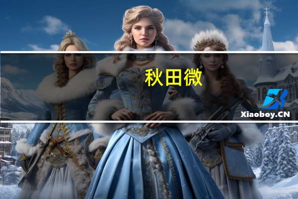 秋田微：截至目前公司未与华为建立合作关系