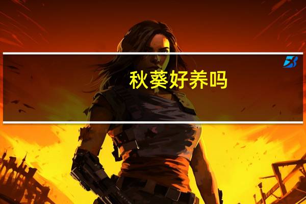 秋葵好养吗