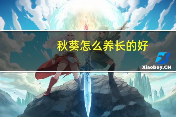秋葵怎么养长的好