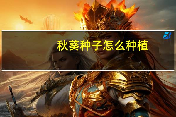 秋葵种子怎么种植