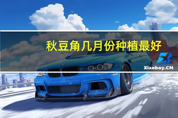 秋豆角几月份种植最好