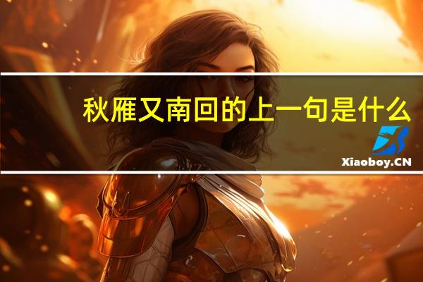 秋雁又南回的上一句是什么