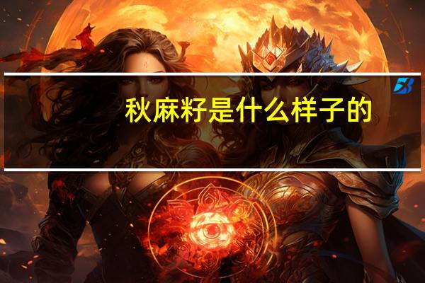 秋麻籽是什么样子的