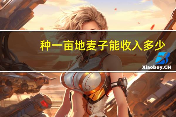 种一亩地麦子能收入多少