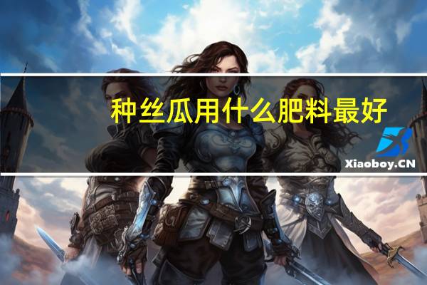 种丝瓜用什么肥料最好