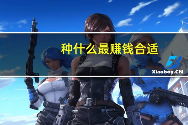 种什么最赚钱合适（种什么最赚钱）