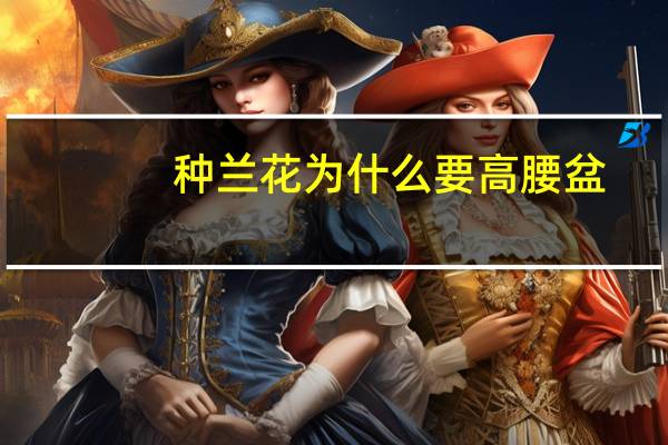 种兰花为什么要高腰盆