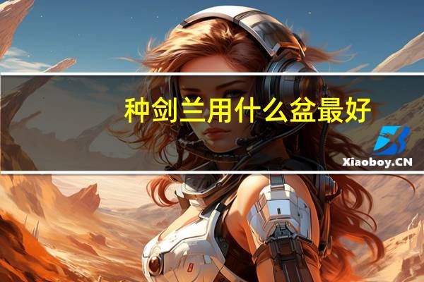 种剑兰用什么盆最好