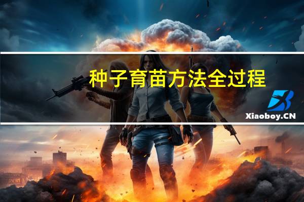 种子育苗方法全过程