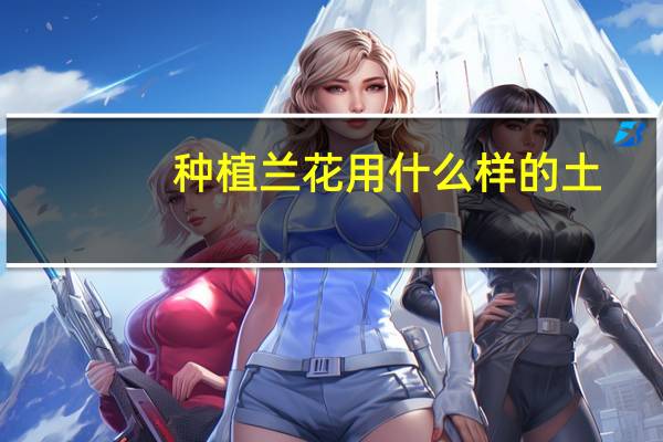 种植兰花用什么样的土