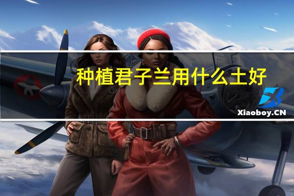 种植君子兰用什么土好