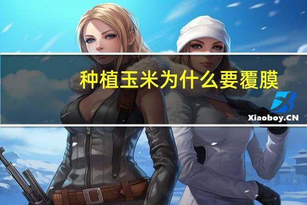 种植玉米为什么要覆膜