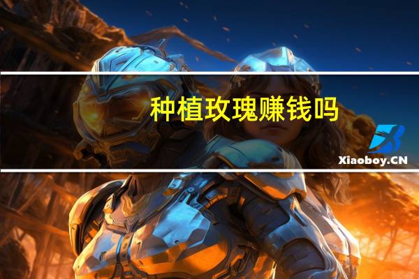 种植玫瑰赚钱吗