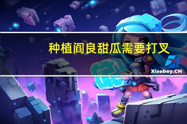 种植阎良甜瓜需要打叉，怎么判断哪些茎需要打掉