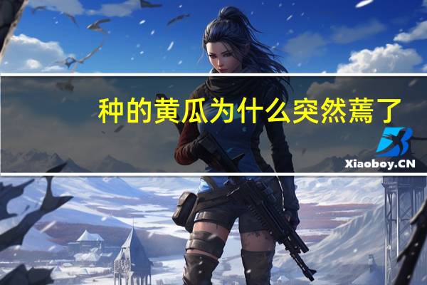 种的黄瓜为什么突然蔫了