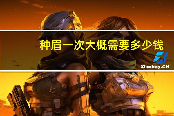 种眉一次大概需要多少钱？种眉毛多少钱