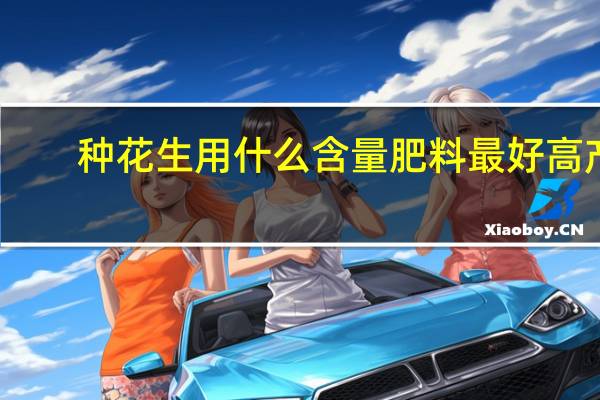 种花生用什么含量肥料最好高产