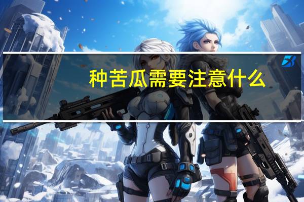 种苦瓜需要注意什么