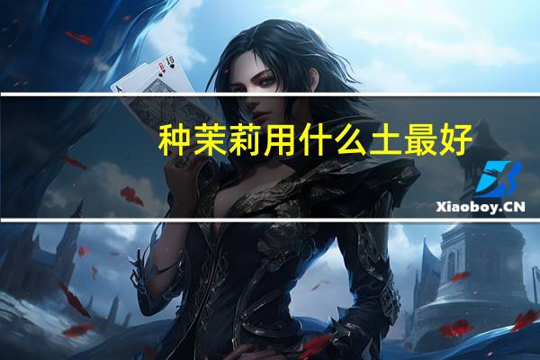 种茉莉用什么土最好