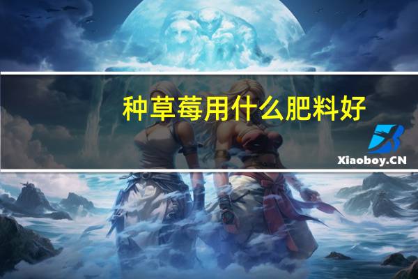 种草莓用什么肥料好