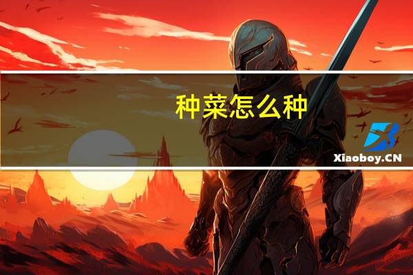 种菜怎么种
