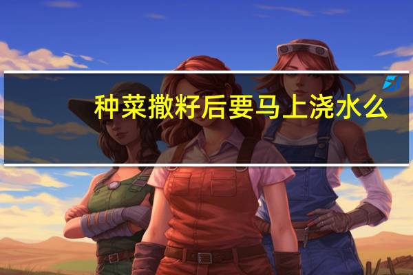 种菜撒籽后要马上浇水么