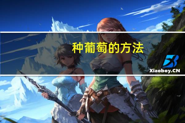 种葡萄的方法