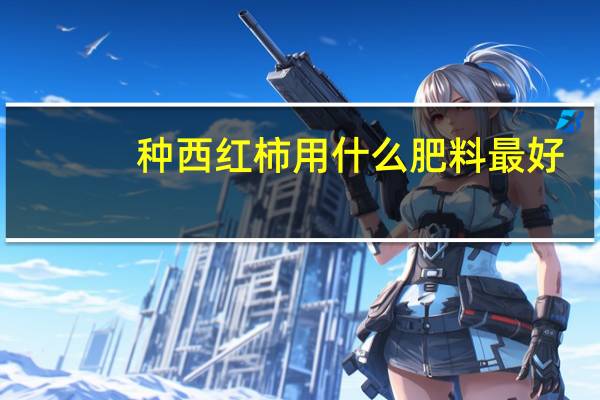 种西红柿用什么肥料最好