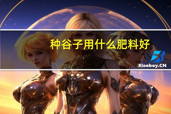 种谷子用什么肥料好