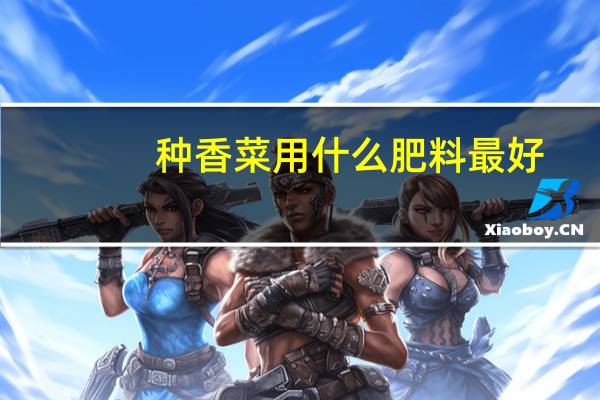 种香菜用什么肥料最好