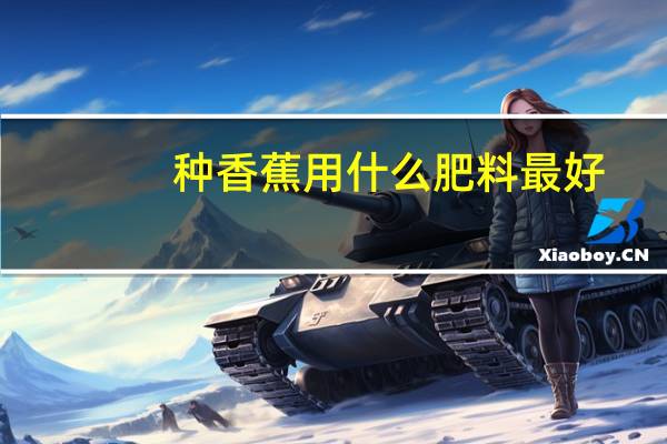 种香蕉用什么肥料最好