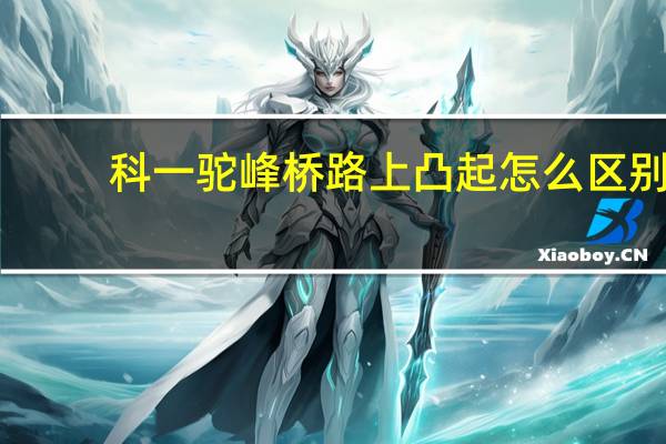 科一驼峰桥路上凸起怎么区别