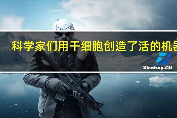 科学家们用干细胞创造了活的机器人