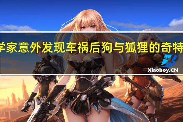 科学家意外发现车祸后狗与狐狸的奇特杂交后代