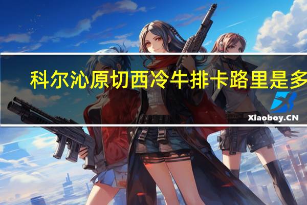 科尔沁 原切西冷牛排卡路里是多少