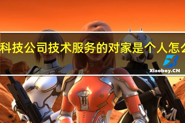 科技公司技术服务的对家是个人怎么入账