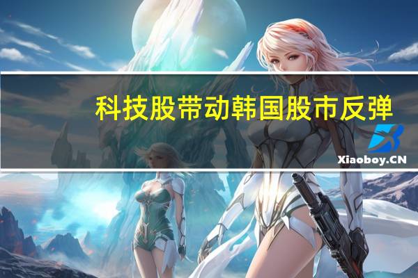 科技股带动韩国股市反弹
