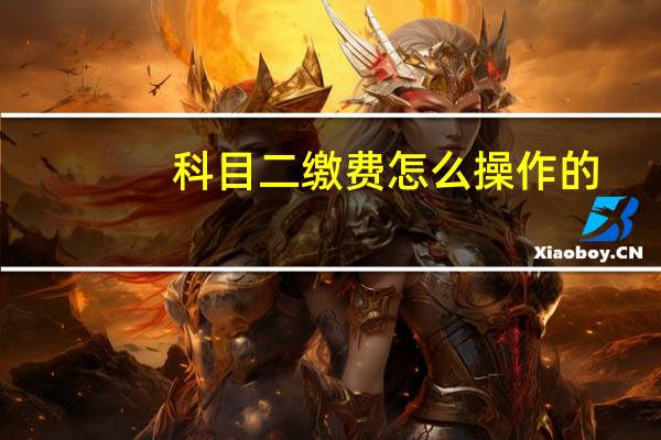 科目二缴费怎么操作的