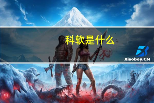 科软是什么